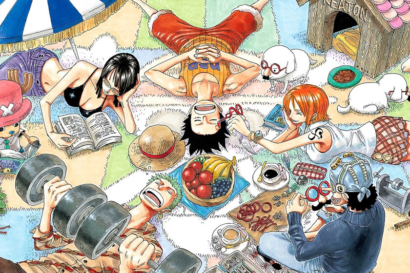 De forma paradójica, uno de los arcos más trascendentales de todo One Piece no estuvo protagonizado por ningún miembro de la tripulación de los Sombrero de Paja